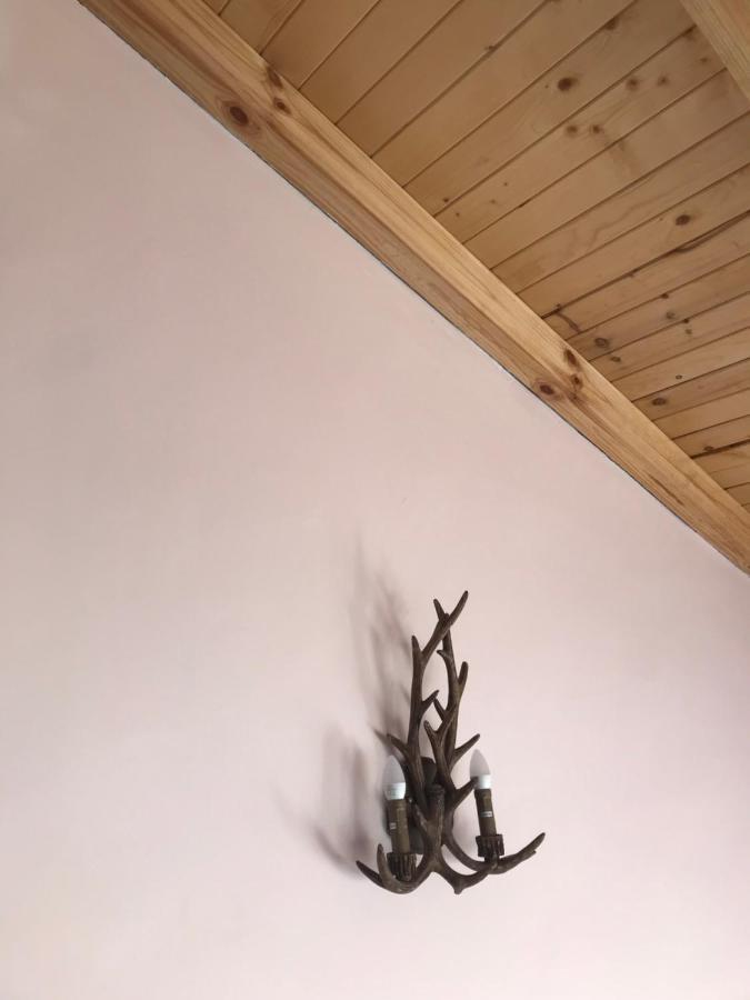 Комплекс Лебанов Hotel Yundola ภายนอก รูปภาพ
